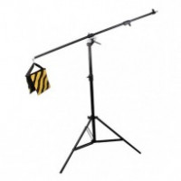 Журавли студийные