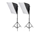 Набор постоянного света Visico FL-306-2 (50x70см) Easy Kit
