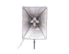 Набор постоянного света Visico FL-306-2 (50x70см) Easy Kit