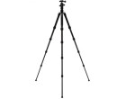 Штатив Benro FTR19AB0GBLK с моноподом