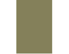 Фон бумажный Savage Widetone Olive Green 2.72m x 11m