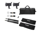 Набор постоянного света Godox SL100D-K2 Softbox Kit