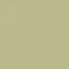 Фон бумажный BD 223 Pistachio 2,72 х 11,0 м
