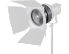 Линза Френеля Godox FLS8