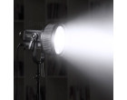 Линза Френеля Godox FLS8