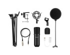 Мікрофон студійний з тримачем Puluz PU612B black