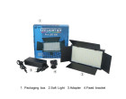 Постоянный свет AccPro E800 RGB
