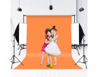 Набор постоянного света Visico VS5070-2 Led Softbox Kit