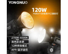 Постоянный свет Yongnuo YNRAY100 KIT Bi-Color