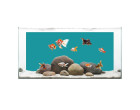 Фон для предметної зйомки Puluz PU5200A 120x60см aqua