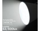 Постоянный свет Godox Litemons LE200D black