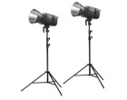 Набор постоянного света Godox Litemons LE200D-2 Kit