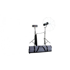 Набор студийного света BOWENS ESPRIT 500/500DX KIT в комплекте пульт д/у (BW-4276)