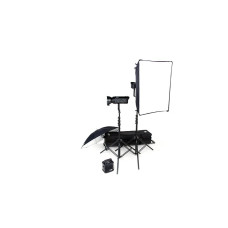 Набор студийного света BOWENS GEMINI 250C/250C TRAVEL PAK KIT (BW-4960)