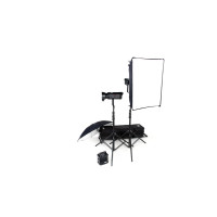 Набор студийного света BOWENS GEMINI 250R/250R TRAVEL PAK KIT (BW-4815)
