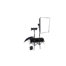 Набор студийного света BOWENS GEMINI 250R/250R TRAVEL PAK KIT (BW-4815)