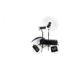 Набор студийного света BOWENS GEMINI 500C/500C PULSAR KIT (BW-4980)