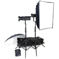 Набор студийного света BOWENS GEMINI 500PRO/500PRO TRAVEL PAK KIT (BW-4865)