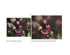 Квадратный фильтр Cokin P 071 C.Spot WA Incolor 2