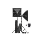 Набор студийного света Elinchrom D-Lite RX 4/4 (20842)