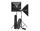 Набор студийного света Elinchrom D-Lite 2 Set (20801)