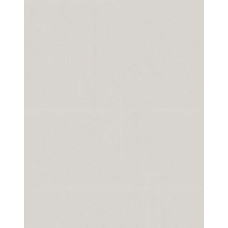 Фон тканевый Falcon BCP-2427/103 2,4х2,7 m светло серый