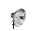 Постоянный свет Falcon FLH-4M (4x26W) (SFL04) + стойка 2 м.