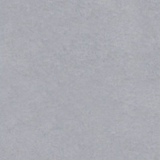 Фон виниловый LASTOLITE Grey 2.75x6m (7770)