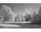 Светофильтр Hoya Infrared R 72 58mm