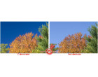 Светофильтр Hoya HD Pol-Circ. 62mm