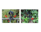 Штатив Joby GorillaPod SLR Zoom & Ball Head Bundle (Black/Red)