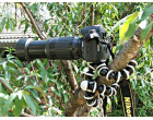 Штатив Joby Gorillapod SLR-Zoom (аналог)