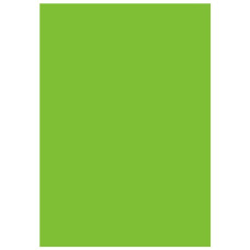Фон виниловый LASTOLITE Chromakey Green Vinyl 2.75x6m (7781)