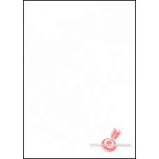 Фон виниловый LASTOLITE Super White 2.75x6m (7761)