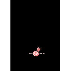 Фон виниловый LASTOLITE Black 2.75x6m (7765)