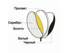 Отражатель Menik TR-050F 5 в 1 (60см)