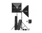 Набор студийного света Elinchrom D-Lite RX 2 / 2 (20841)