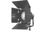 Постоянный свет Aputure Light Storm LS 600D PRO
