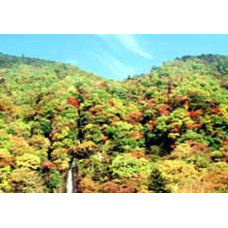 Светофильтр Marumi GC-Blue 49mm