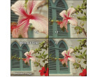 Светофильтр Marumi Close-UP+1+2+4 (set) 72mm
