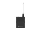 Радиосистема Sennheiser EW-D SK Base Set