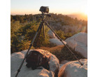 Штатив Vanguard Alta Pro 2+ 263AP