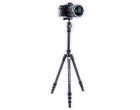 Штатив Vanguard Vesta TB 204CB