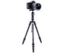 Штатив Vanguard Vesta TB 204CB