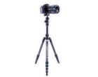 Штатив Vanguard Vesta TB 235CB