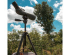 Штатив Vanguard VEO 5 234CO-26 (VEO 5 234CO-26)
