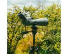 Штатив Vanguard VEO 5 234CO-26 (VEO 5 234CO-26)