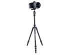 Штатив Vanguard Vesta TB 204AB