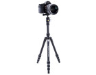 Штатив Vanguard Vesta TB 204ABS