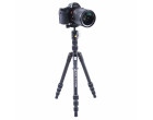 Штатив Vanguard Vesta TB 204ABS